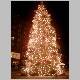 IMGP1599ppweihnachtsbaum2.JPG